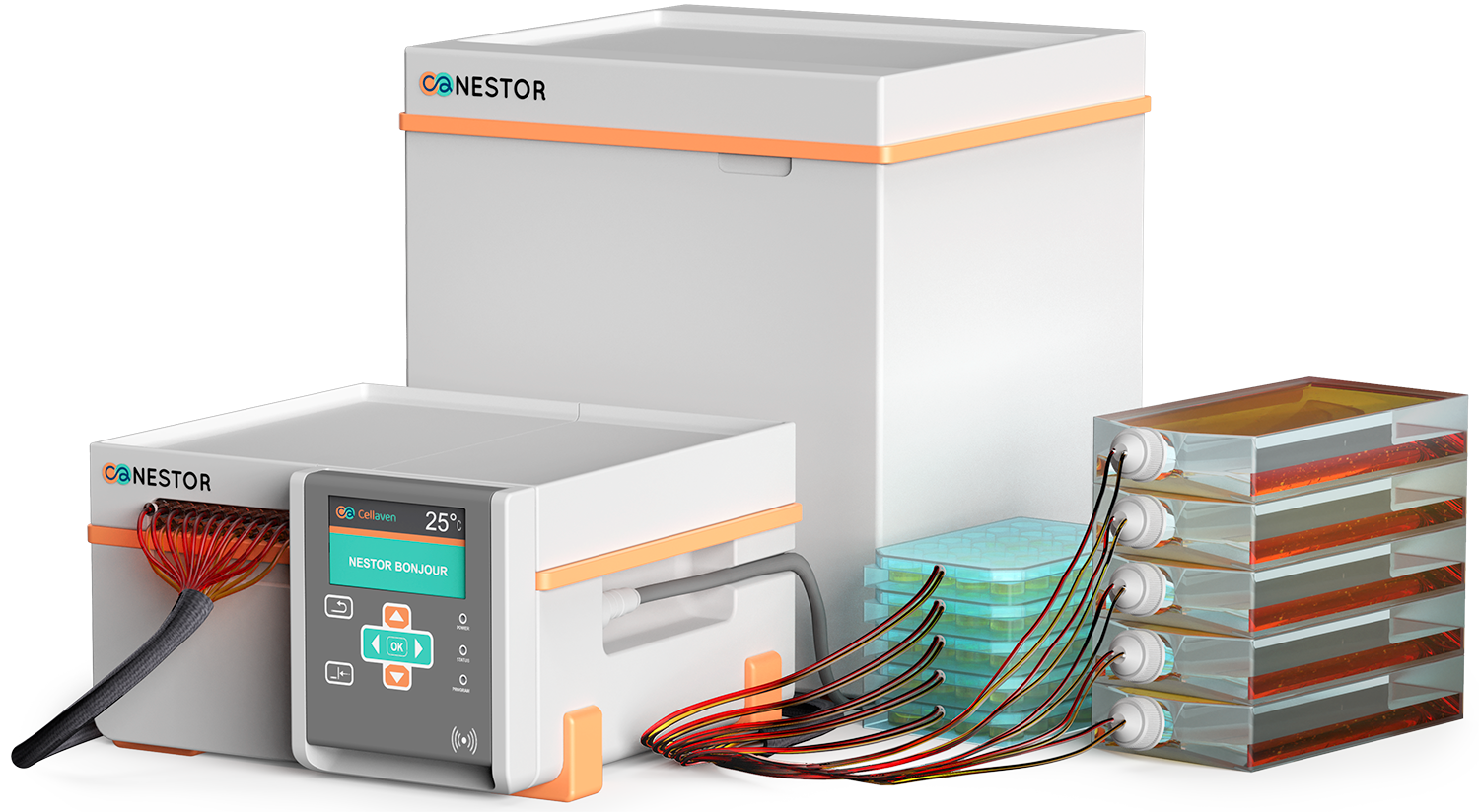 nestor-product nestor product